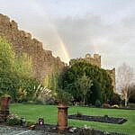 Garden and rainbow