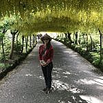 Bodnant Garden